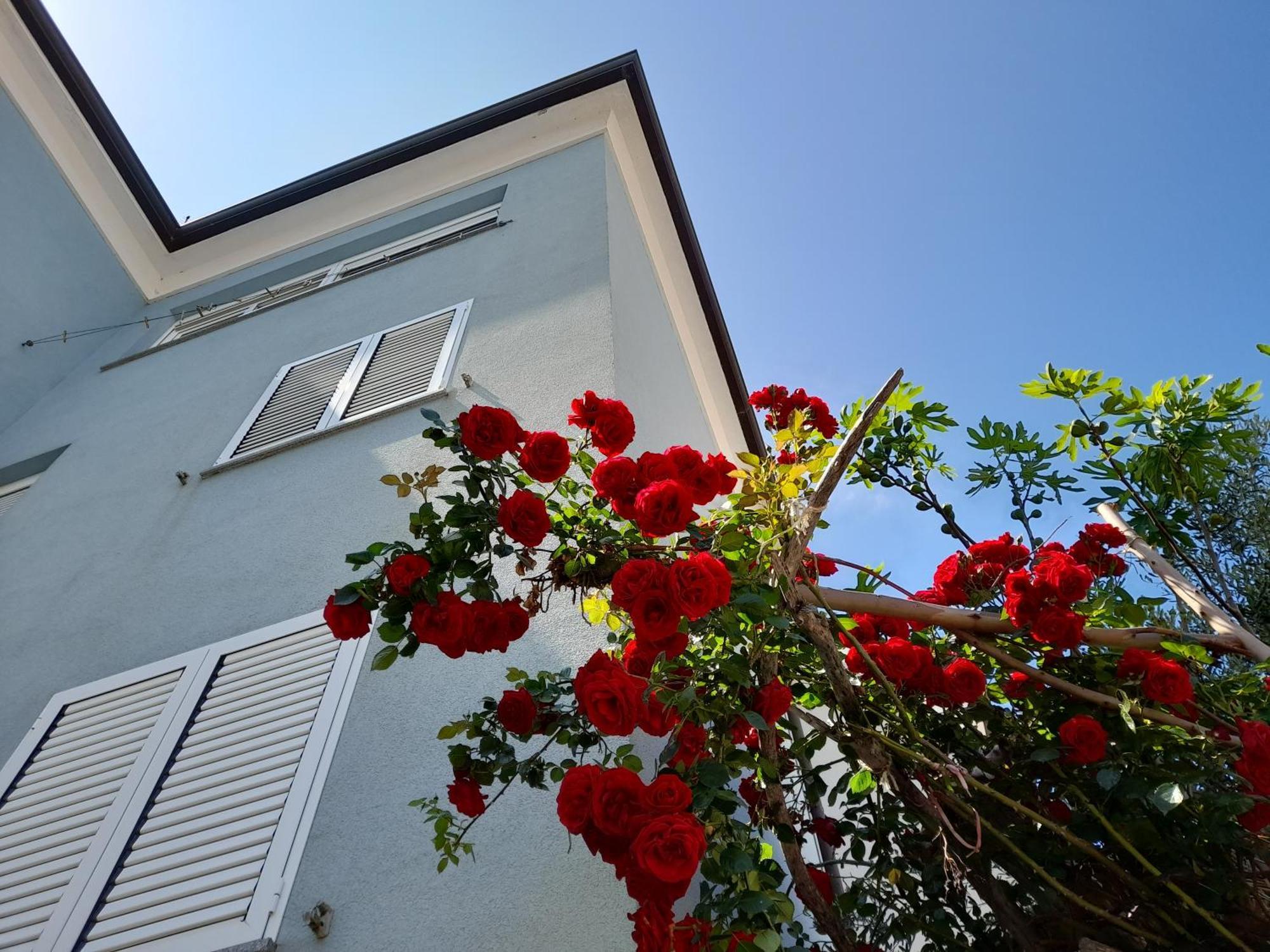 Ferienwohnung Lea Rovinj Exterior foto