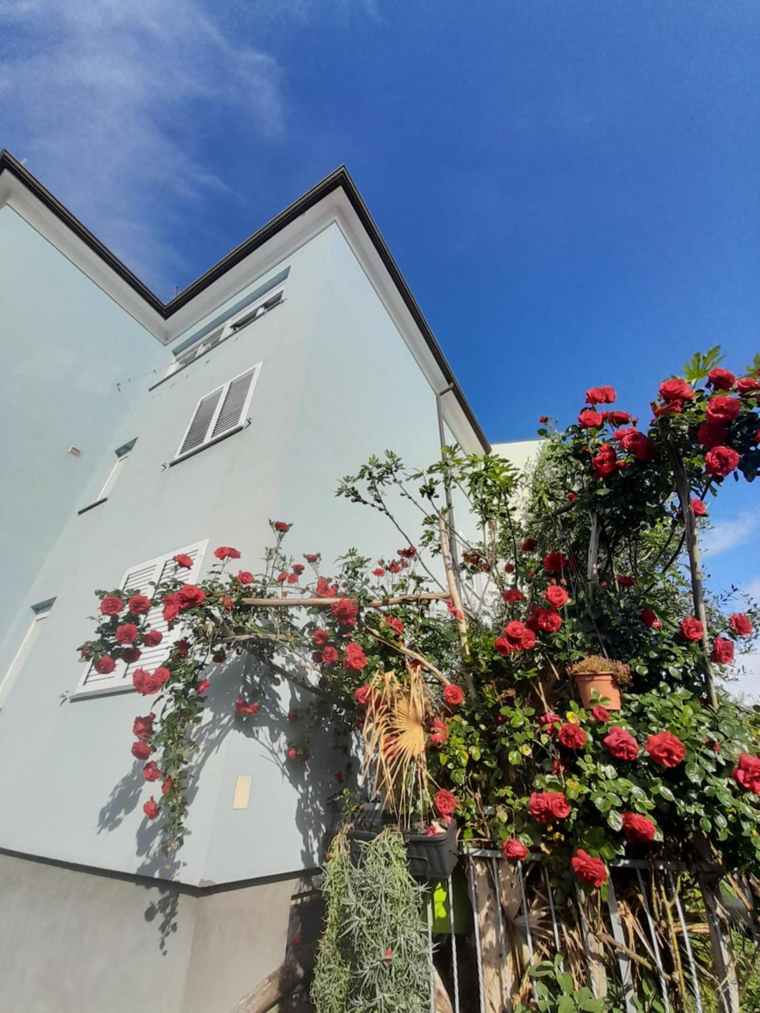 Ferienwohnung Lea Rovinj Exterior foto