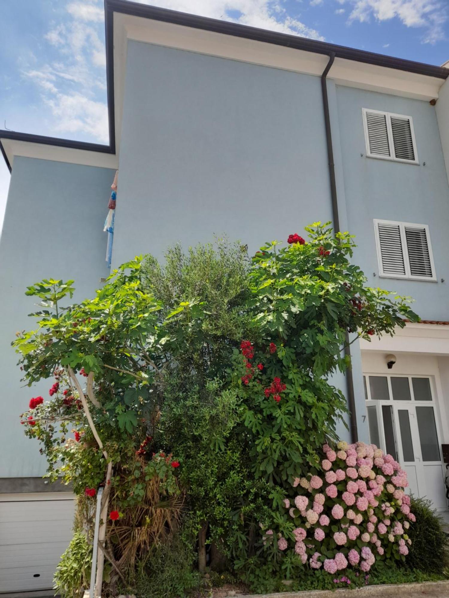 Ferienwohnung Lea Rovinj Exterior foto