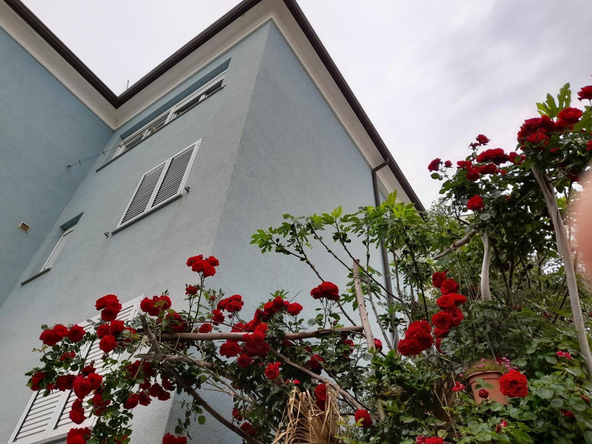 Ferienwohnung Lea Rovinj Exterior foto